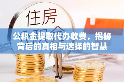 海宁公积金提取代办收费，揭秘背后的真相与选择的智慧