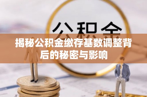 海宁揭秘公积金缴存基数调整背后的秘密与影响