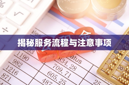 海宁揭秘服务流程与注意事项
