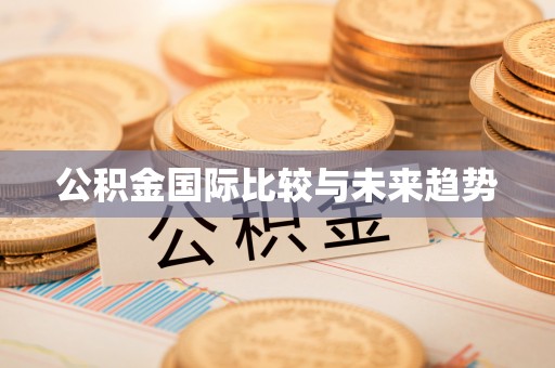 海宁公积金国际比较与未来趋势