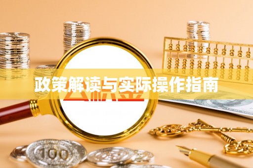 海宁政策解读与实际操作指南