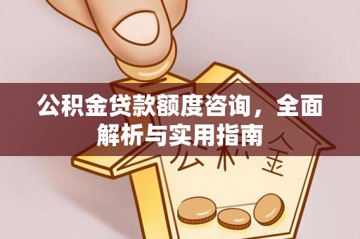 海宁公积金贷款额度咨询，全面解析与实用指南