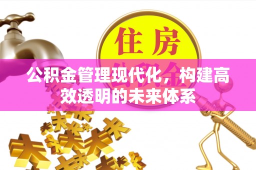 海宁公积金管理现代化，构建高效透明的未来体系