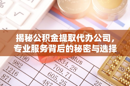 海宁揭秘公积金提取代办公司，专业服务背后的秘密与选择指南