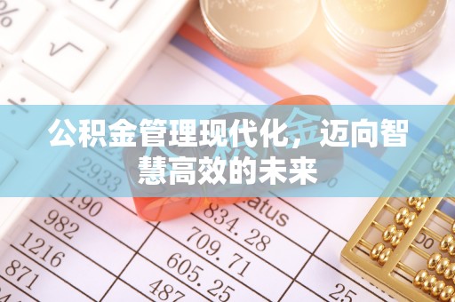 海宁公积金管理现代化，迈向智慧高效的未来