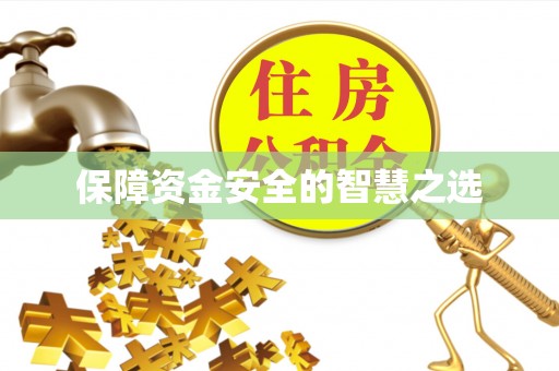 海宁保障资金安全的智慧之选