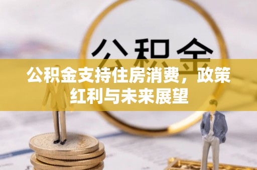 海宁公积金支持住房消费，政策红利与未来展望