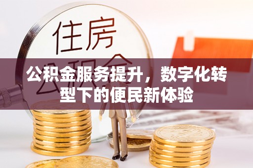 海宁公积金服务提升，数字化转型下的便民新体验