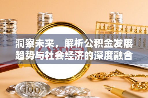 海宁洞察未来，解析公积金发展趋势与社会经济的深度融合