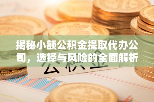 海宁揭秘小额公积金提取代办公司，选择与风险的全面解析