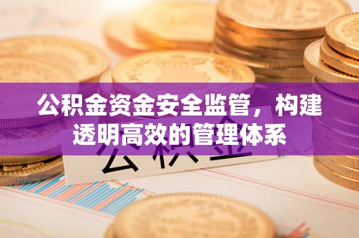 海宁公积金资金安全监管，构建透明高效的管理体系