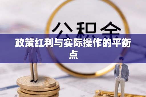 海宁政策红利与实际操作的平衡点