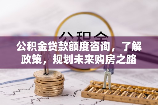 海宁公积金贷款额度咨询，了解政策，规划未来购房之路