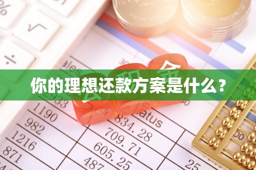 海宁你的理想还款方案是什么？