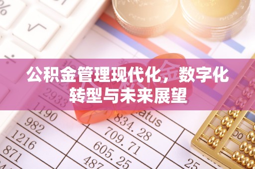 海宁公积金管理现代化，数字化转型与未来展望
