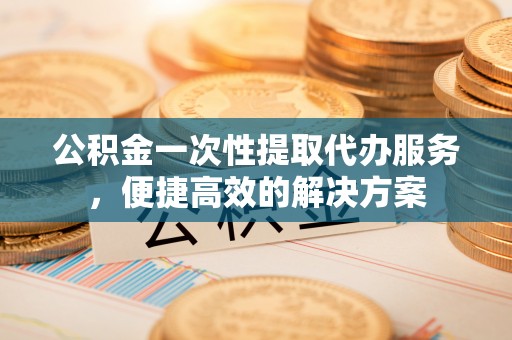 海宁公积金一次性提取代办服务，便捷高效的解决方案