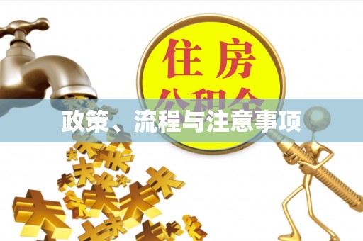 海宁政策、流程与注意事项