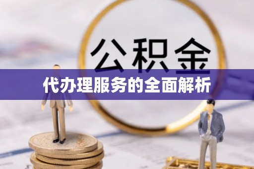 海宁代办理服务的全面解析