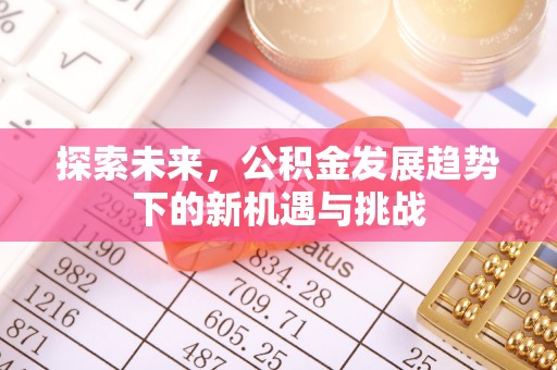 海宁探索未来，公积金发展趋势下的新机遇与挑战