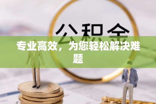 海宁专业高效，为您轻松解决难题