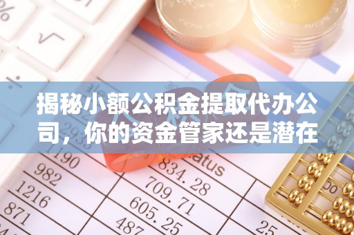 海宁揭秘小额公积金提取代办公司，你的资金管家还是潜在风险？