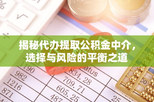 海宁揭秘代办提取公积金中介，选择与风险的平衡之道