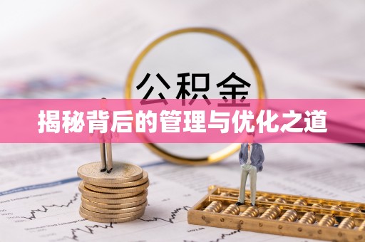 海宁揭秘背后的管理与优化之道