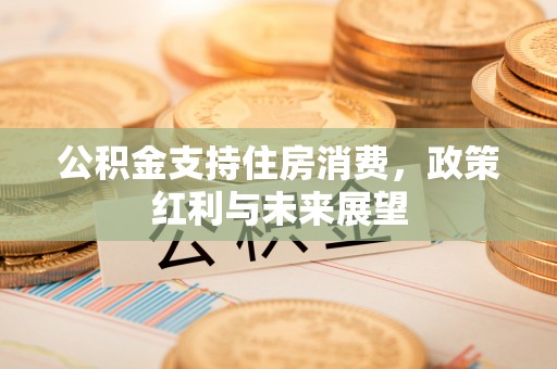 海宁公积金支持住房消费，政策红利与未来展望