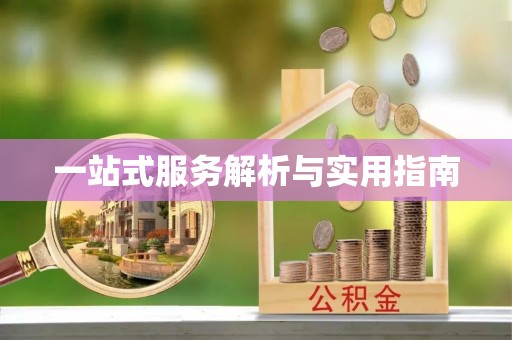 海宁一站式服务解析与实用指南